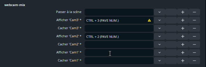 Capture OBS, assignation des raccourcis clavier
