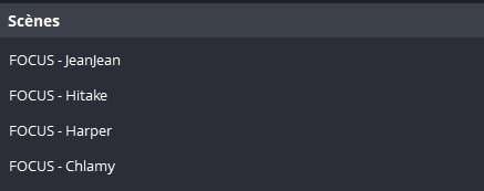 La liste des scènes sur OBS