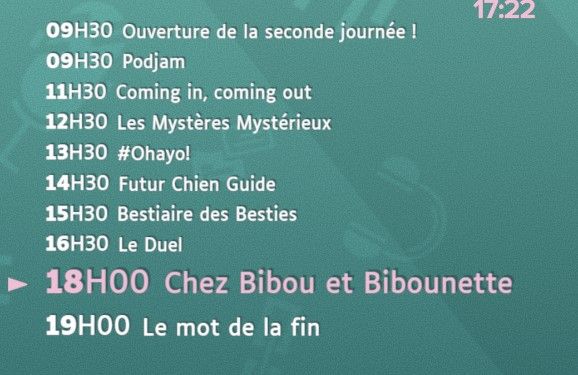 Affichage du programe du festival sur l'habillage